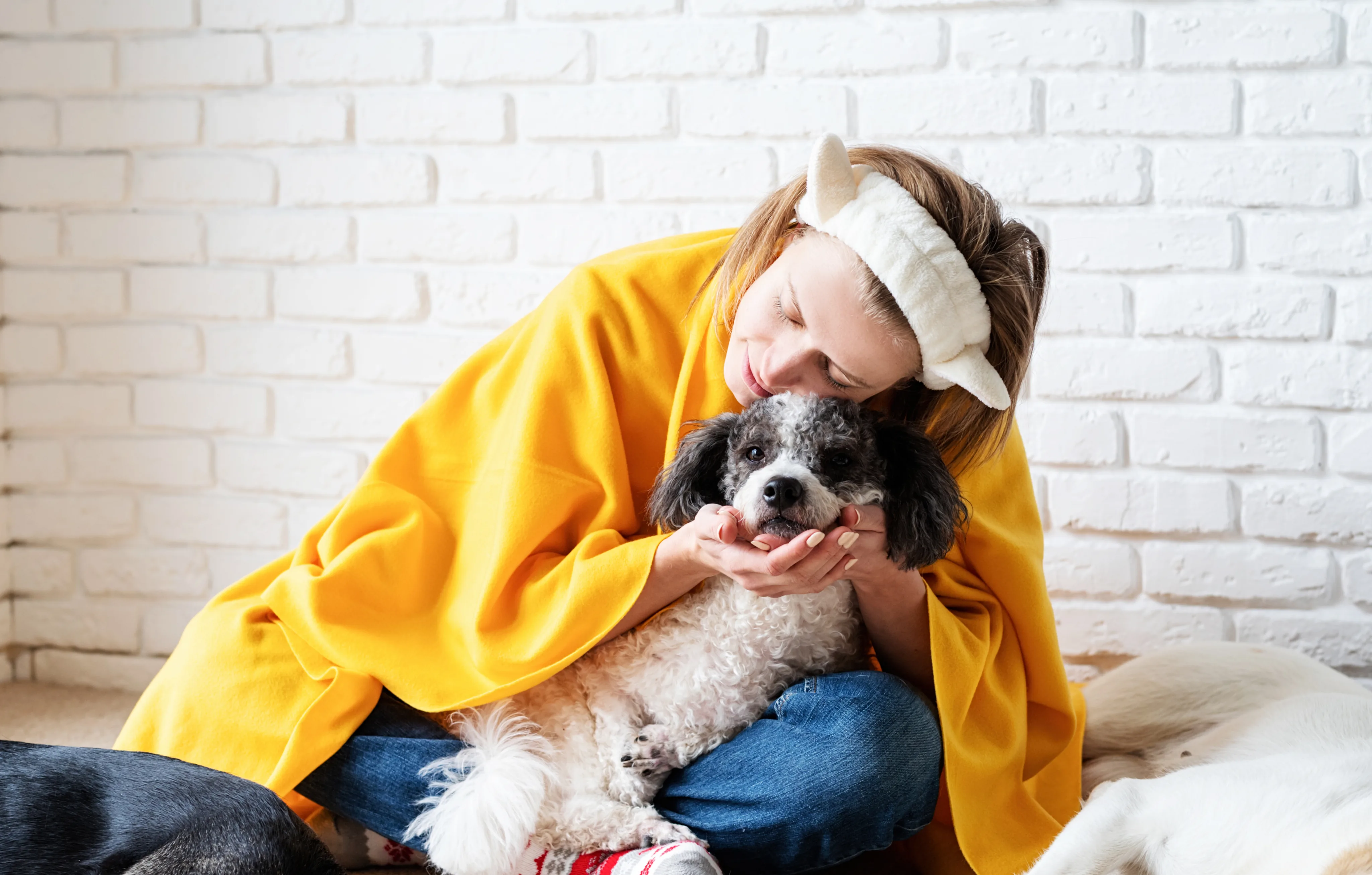 Sitter hugging a dog